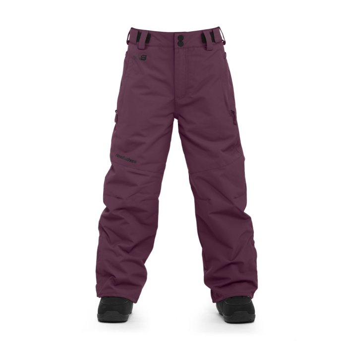 detail Kalhoty Horsefeathers SPIRE II YOUTH PANTS (prune)