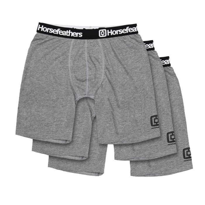 detail Boxerky Horsefeathers DYNASTY LONG 3PACK BOXER SHORTS (heather gray)