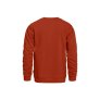 náhled DUNK SWEATSHIRT (orange rust)